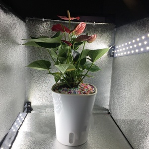 Maceta perezosa de plástico autoabsorbente creativa de 7,5*8,5 cm de alta calidad al por mayor con cuerda de algodón y maceta interior blanca - Product Image 5