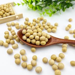 Food Grade Sprouting White Navel Soybeans Non-GMO <strong>Soya</strong>/<strong>Soja</strong>/Soybeans - Product Image 6