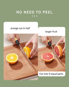 Điện Orange Máy ép trái cây máy vắt xách tay 350ml chậm máy ép trái cây cho hộ gia đình sử dụng với tự làm sạch chức năng Trái Cây máy ép trái cây - Product Image 5