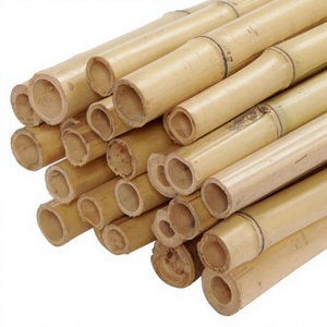 Prix compétitif Matière première de poteaux en bambou de 2 à 12 m de longueur Eco2go Export Vietnam Vente en gros pour la construction - Product Image 1