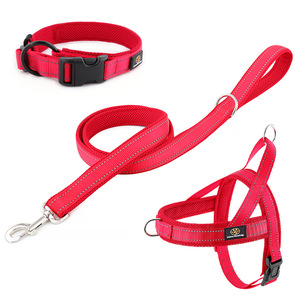 Collar, Correa y Arnés de Pecho para Perro, Malla Transpirable, Rojo, Accesorios para Mascotas - Product Image 1