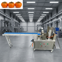 Automatische elektrische fruit- en groenteschiller Harde persimmon-schilverwijderaar Machine Thuisgebruik Restaurant 220V 700W
