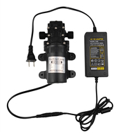 Pompe à membrane de pulvérisateur électrique 12V pour système de brumisation d'eau extérieure moteur de suralimentation de machine à brouillard auto-amorçant