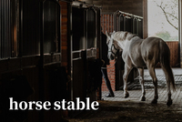 Vente d'équipements d'écuries métalliques préfabriquées en Chine pour équipements d'écuries de chevaux, boxes à chevaux en acier