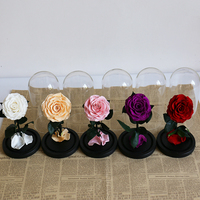 Vente en gros préservé galaxie Rose en dôme de verre pour toujours éternel Roses Fleur pour St Valentin Cadeaux préservé Rose dôme en verre