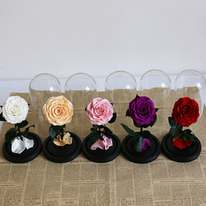 Vente en gros préservé galaxie Rose en dôme de verre pour toujours éternel Roses Fleur pour <span class=keywords><strong>St</strong></span> <span class=keywords><strong>Valentin</strong></span> Cadeaux préservé Rose dôme en verre - Product Image 4