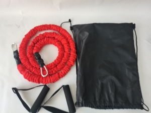 Banda <span class=keywords><strong>de</strong></span> Ejercicio Multifuncional Resistente con Mosquetones <span class=keywords><strong>de</strong></span> Acero <span class=keywords><strong>de</strong></span> 40 cm, para Entrenamiento <span class=keywords><strong>de</strong></span> Fuerza, <span class=keywords><strong>Ejercicios</strong></span> <span class=keywords><strong>de</strong></span> Estiramiento y Rehabilitación - Product Image 5