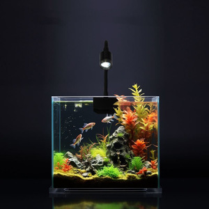 <span class=keywords><strong>Foco</strong></span> LED de 3W USB Ecológico de Plástico <span class=keywords><strong>para</strong></span> Acuario, con Cambio de Color y Enfoque Ajustable, <span class=keywords><strong>para</strong></span> Acuarios Sudamericanos - Product Image 3
