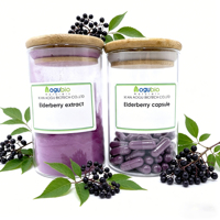 100% Natuurlijk Zwarte Vlierbessenextract Poeder 5%~25% Anthocyanen Voedingskwaliteit Vlierbessenextract voor Immuunondersteuning