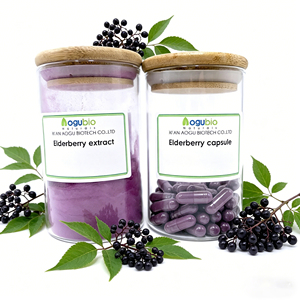Poudre d'extrait d'églantier <span class=keywords><strong>noir</strong></span> 100 % naturel, 5 % à 25 % d'anthocyanes, qualité alimentaire, pour le soutien immunitaire - Product Image 2