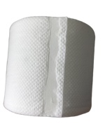 Vente en gros OEM papier toilette recyclé 2 plis de qualité luxe écologique et bon marché pour les hôtels et les ménages