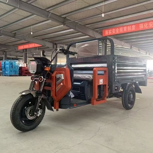 1000W+ 60V+ Tricycle Adults <b>2</b> <b>Passengers</b> Open Body Long-Range (70-90km) 30-50km/h Heavy-Duty Payload - Product Image 6