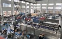 Ligne de production industrielle automatique de beignets très demandée, en acier inoxydable 304 et avec PLC de marque réputée