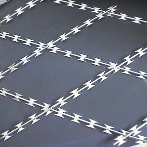 Mejores Ventas, Bajo Precio, Alta Calidad, Alambre de Púas <span class=keywords><strong>Concertina</strong></span> BTO-22, Alambre de Púas Conductivo, 500 mm por Rollo, Cerca Anti-Escalada - Product Image 5