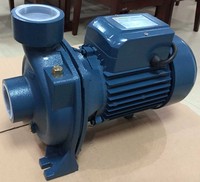 Pompe à Eau Inverter WP-20 à Essence