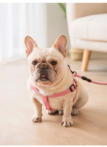 調節可能なナイロン子犬用ベストハーネスクイックリリースアウトドアウォーキングフリーフリープルドッグハーネス子犬用大人犬用 - Product Image 3