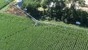 DaringFish - Equipo de Riego Agrícola con Caja de Cambios Metálica de Movimiento Lateral de 350 m, Sistema de Movimiento Lineal de Cuatro Ruedas para Granja - Product Image 5