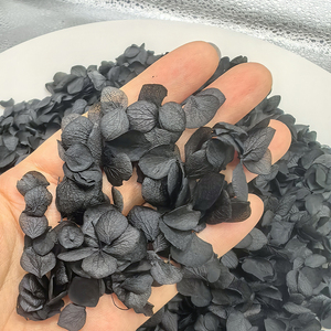 Nuovo Design Anna Petal: Coriandoli Neri per Feste, Materiale di Riempimento, Petali Veri Essiccati, Non Artificiali, Coriandoli per Matrimoni - Product Image 4