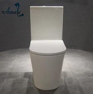 Chaozhou sıhhi tesisat seramik banyo aksesuarları yıkamak çift kızarma iki parçalı tuvalet ile p-trap üreticisi WC tuvalet