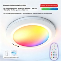 Lampu Plafon LED Sensor PIR Nirkabel Isi Ulang RGB dengan Remote Kontrol, Pemasangan Magnetik, Desain Minimalis Modern