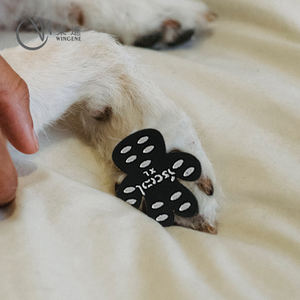 Autocollants antidérapants pour pattes de <span class=keywords><strong>chien</strong></span>, protègent <span class=keywords><strong>les</strong></span> pattes de <span class=keywords><strong>chien</strong></span> de la saleté, des coupures et de la chaleur, imperméables - Product Image 1