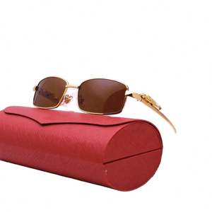 Lunettes de soleil polarisées de créateur 2022, nouvelle collection de marque célèbre, qualité supérieure, monture PantherMetal, luxe pour hommes et femmes, petite taille - Product Image 2