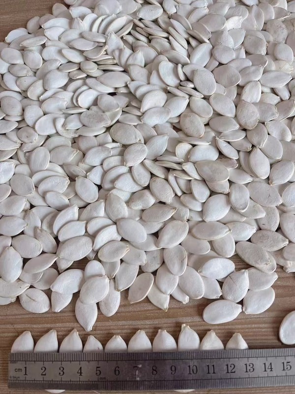 Pumpkin Seeds Dried Nut Cake Cooking