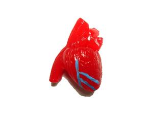 Bola otak plastik edukasional obat - Product Image 4