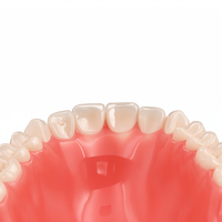 Prothèse complète d'apparence naturelle, prothèse dentaire de qualité supérieure, adsorption optimale pour patients edentules, cobalt-chrome