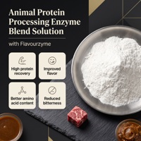 Solution enzymatique de traitement des protéines animales de qualité alimentaire avec Flavourzyme pour la désamertissante et l'amélioration de l'umami – Vente en gros