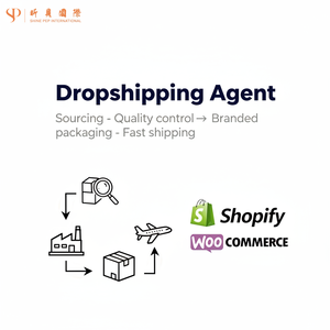 Agente de Shopify, Envío Económico a Francia, Europa, Productos de Dropshipping 2025, Servicios de Logística DDP, Dropshipping - Product Image 1
