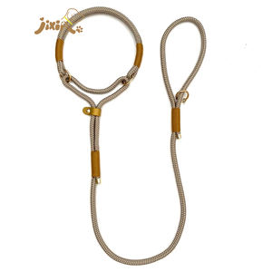 Laisse pour chien en cuir 2025 avec logo personnalisé et couleur et laisse pour chien en nylon Paracord de luxe avec mousqueton pivotant Designer personnalisé - Product Image 1