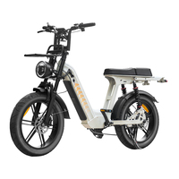 Vélo électrique D50 250W 48V 18.2AH 20 pouces, double amortisseur, 7 vitesses, pneus larges, vélo électrique, autonomie de 50 km, Fatbike V20 pour les trajets en ville