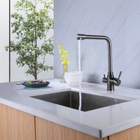 Robinet d'évier de cuisine mitigeur à trois voies en acier inoxydable 304 double poignée filtre à eau potable saine eau chaude froide moderne