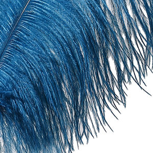 天然ダチョウ羽プルームバルク16-30インチ (40-75cm) - Product Image 4