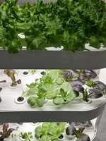Tour de culture hydroponique d'intérieur pour ferme, système hydroponique automatique, jardin vertical, mini-aéroponique domestique, lumière LED intelligente