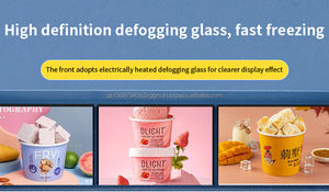 Congélateur de présentation de crème glacée avec système de refroidissement direct et plaque en acier coloré pour usage commercial - Product Image 6