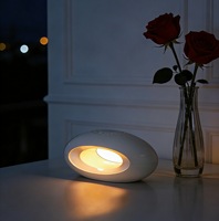 Machine à bruit blanc DIY multifonctionnelle avec réveil, veilleuse d'ambiance colorée, dispositif de décoration artistique, lampe portable pour thérapie du sommeil