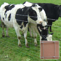 Rouleau de clôture de champ galvanisée haute résistance, grillage métallique pour pâturage, clôture de ferme pour barrière anti-cerfs, bovins et animaux