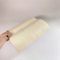 Oreiller de sauna populaire blanc Dossier de sauna pour la vente