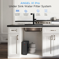 Système de filtration d'eau par osmose inverse Angel 100GPD pour la maison, purificateur d'eau sous l'évier, couleur noire