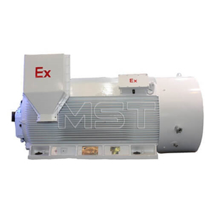 Motor a Prueba de Explosiones de Alto Voltaje AC 6kv, Motor Eléctrico a Prueba de Explosiones de Alto Voltaje - Product Image 4