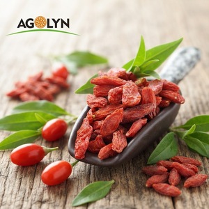 Bayas <span class=keywords><strong>de</strong></span> Goji Rojas <span class=keywords><strong>de</strong></span> Ningxia Orgánicas Premium, Nueva Cosecha 2026, Wolfberry Secas Naturales, Snack Saludable <span class=keywords><strong>de</strong></span> Superalimento - Product Image 1