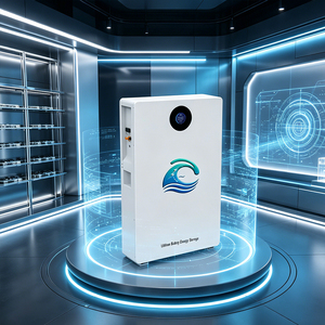 Sistema de Almacenamiento de Energía Doméstico Personalizado de 5Kw 10Kw Serie EOS LiFePO4 con Batería de Iones de Litio de 5Kwh y BMS Todo en Uno - Product Image 3