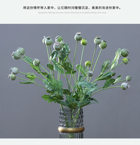 <span class=keywords><strong>Fleurs</strong></span> <span class=keywords><strong>de</strong></span> pavot artificielles en mousse, fruits <span class=keywords><strong>de</strong></span> pavot simulés, branche <span class=keywords><strong>de</strong></span> fruits <span class=keywords><strong>de</strong></span> pavot, <span class=keywords><strong>bouquet</strong></span> <span class=keywords><strong>de</strong></span> fruits <span class=keywords><strong>de</strong></span> pavot séchés d'<span class=keywords><strong>automne</strong></span> - Product Image 6