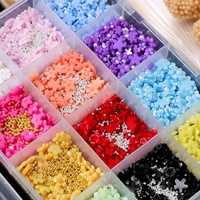 Kit d'accessoires pour nail art : 12 compartiments de mini fleurs en résine colorées, strass pour ongles, billes en acier or et argent, breloques pour ongles et perles blanches