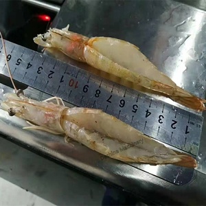 Machine commerciale à éplucher et à déveiner les <span class=keywords><strong>crevettes</strong></span>, machine à ouvrir le dos des <span class=keywords><strong>crevettes</strong></span>, machine à éplucher et à retirer la coquille des <span class=keywords><strong>crevettes</strong></span> - Product Image 5
