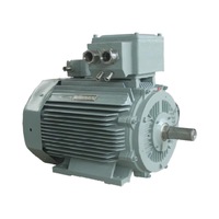 Moteur asynchrone triphasé haute tension Wolong CNE Y3 400KW 3000V 50/60Hz, efficacité IE2, classe de protection IP55 F/H