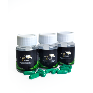 Bouteille de 10 capsules de mélange de plantes de haute qualité pour hommes améliorant l'endurance Confiance Charme Supplément d'éveil pour adultes - Product Image 5