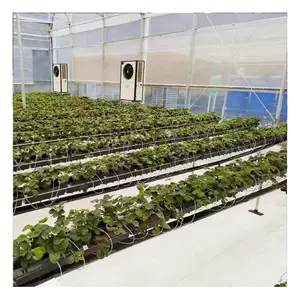 Groundcover Orchard Reflective Ground Cover Reflective Weed Barrier White Weed Mat Woven Groundcover Custom Greenhouse
